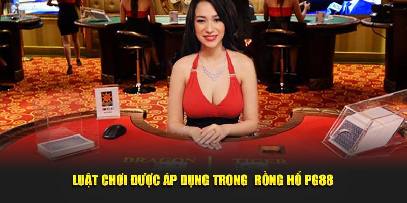 Luật chơi được áp dụng trong  rồng hổ PG88